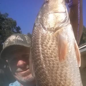 Meet your Posher, Kevin